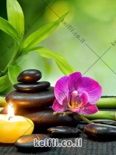 פרטי - עיסוי עדין ומהנה בנתניה